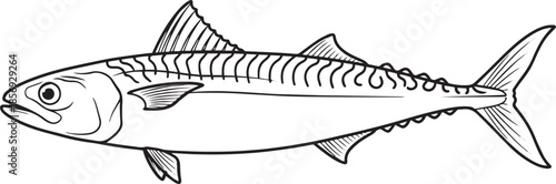 silhouette of clean vector of Mackerel isolated on white background
