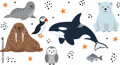 Cute Arctic and Polar Animals Collection Including Polar Bear, Orca, Seal, Walrus, Puffin Vector Illustration