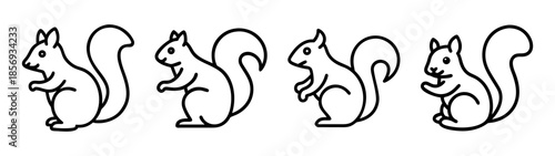 Outline drawing of four identical squirrels in a row, graphic icon.