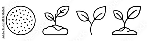 Seed germination and plant growth process outline icons collection