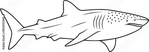 silhouette of clean vector of Whale Shark isolated on white background