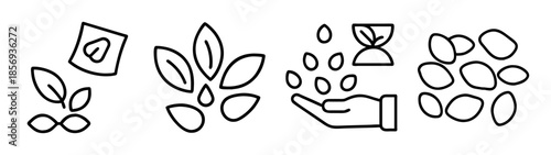 Organic farming, planting process, seed to harvest vector icons