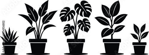 Black silhouette collection of various indoor potted plants including monstera and succulents on a white background for modern interior design,