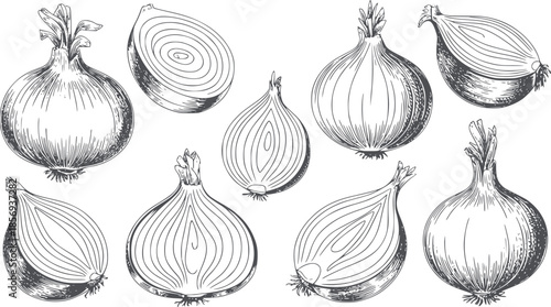 Detailed black and white line of whole and sliced onions