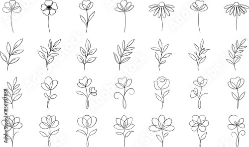 Minimal line art floral elements set with hand drawn flowers leaves botanical doodles for elegant modern vector design collection illustration
