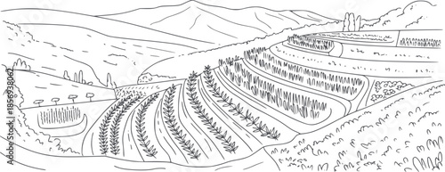 Hand drawn black and white line of agricultural terraced fields in hilly landscape