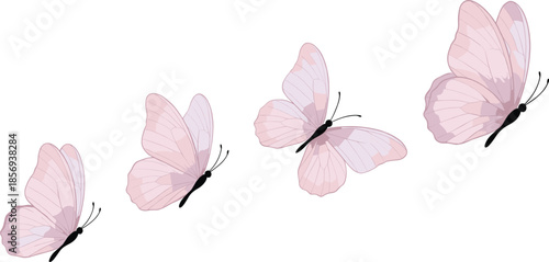 Soft pink butterflies flying sequence illustration isolated on white background for spring nature beauty romantic minimal vector design artwork collection