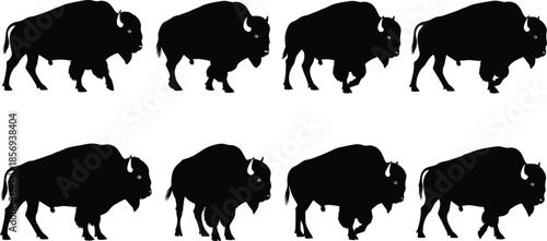 Bison buffalo silhouettes vector set, wild animal walking poses, American wildlife icons, black mammal shapes isolated flat illustration