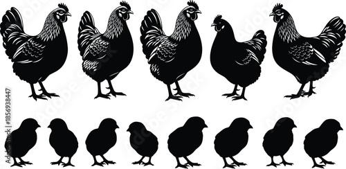 Chicken and chick silhouettes vector set, hen poultry farm birds icons, black animal shapes, agriculture design elements isolated flat illustration
