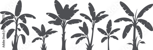 Six banana plants in flat silhouette white leaf leaves