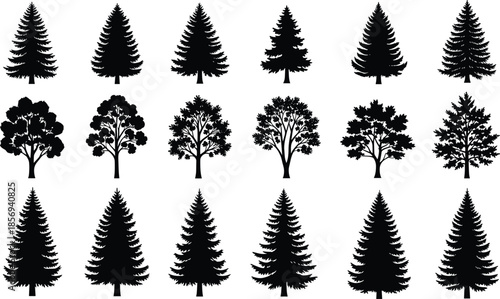 Tree silhouettes vector set, pine and deciduous forest trees icons, nature woodland plants, black botanical shapes isolated illustration