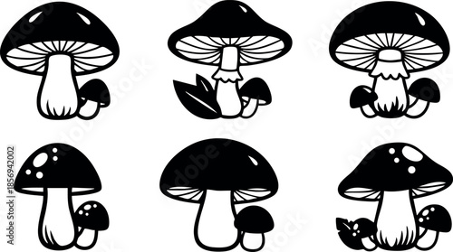 Various black and white mushrooms in simple vector illustration style natural flow 