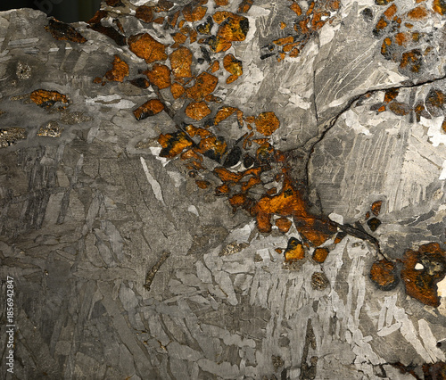 Pallasite type Seymchan meteorite. The rock is made up of olivine crystals that are enclosed in a gray matrix (an alloy of nickel and iron). Pallasite is a very rare stony-iron meteorite