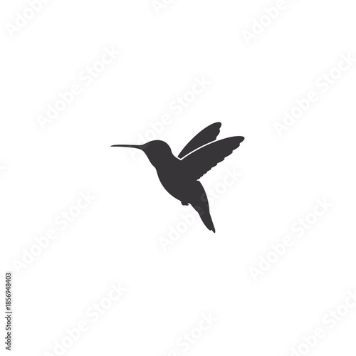 hummingbird on white background