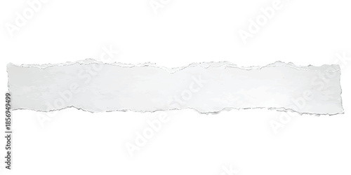 A single piece of white paper torn horizontally to create a long strip with rough edges