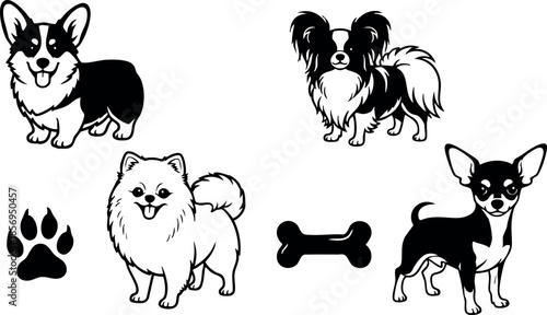 Corgi, Papillon, Pomeranian, Chihuahua dog breeds with paw print and bone vector illustration 