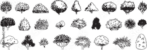 Black and white illustration set of various tree silhouettes and foliage shapes