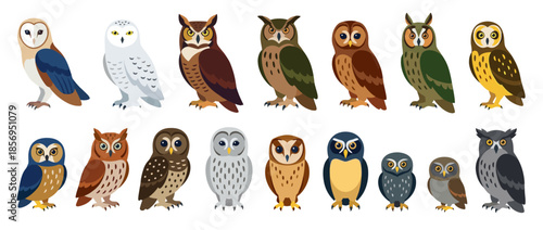 Collection of diverse owl illustrations, standing in a row, showcasing various species and colorations.