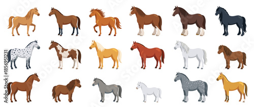A collection of horses in various colors and breeds standing in profile on a white background.