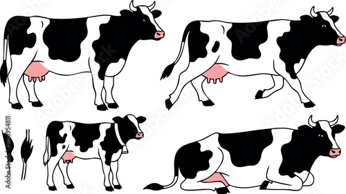 Holstein Cow Farm Animals Set Vector Illustration in Various Poses and Positions 