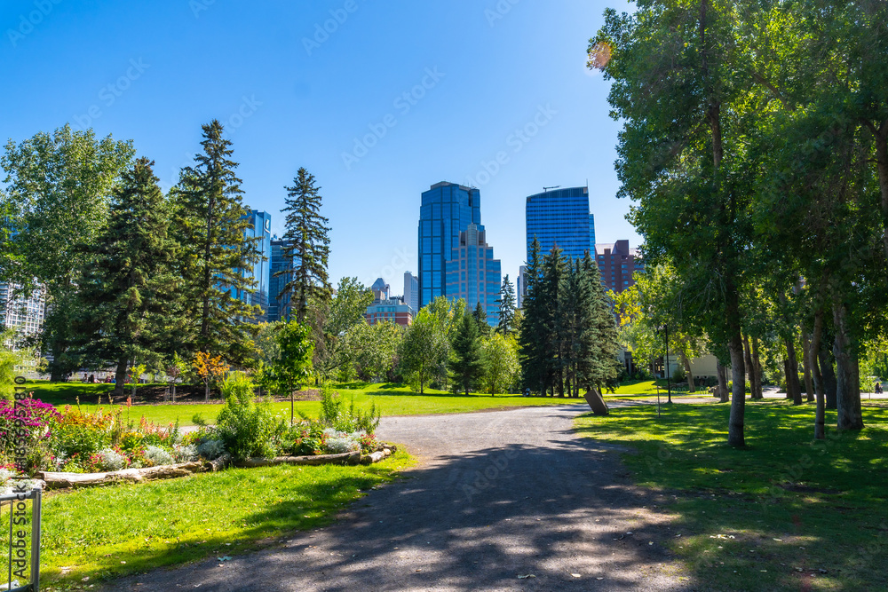 Obraz premium Calgary central memorial park greenery framing city skyline on sunny day