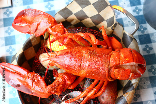 red fresh lobster as sea food