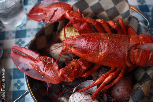 red fresh lobster as sea food