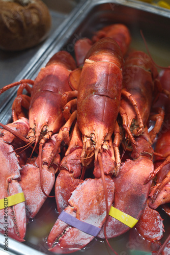 red fresh lobster as sea food