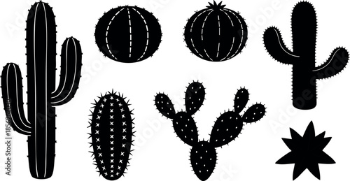 Various Cactus Plants Vector Illustration with Different Shapes and Sizes in Black Silhouette 