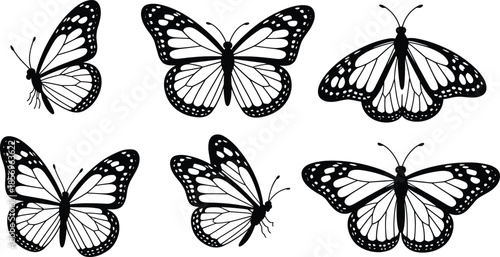 Collection of black and white butterfly silhouettes and line art illustrations showing different wing positions, ideal for logos, tattoos, decals, and design projects