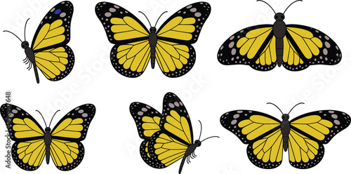 Stylized butterfly illustrations with yellow wings, black borders, and decorative white and purple spots for nature, design, art, and educational projects