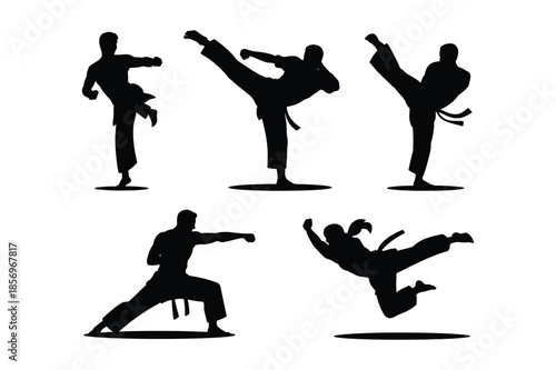 Action Silhouettes of Martial Arts Fighters in Combat and Training