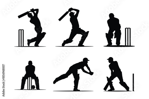 Professional Cricket Players Action Silhouettes Batting and Bowling