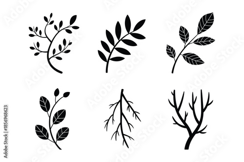 Natural Tree Branch and Leaf Foliage Silhouettes Set
