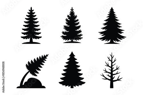 Evergreen pine and fir tree silhouettes for nature landscape design