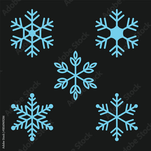 Snowflakes symbols decorative snow crystals vector shapes