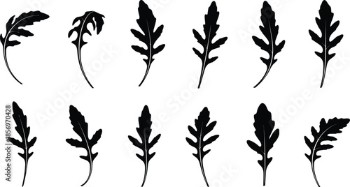 Collection of various leafy plant silhouettes on white background