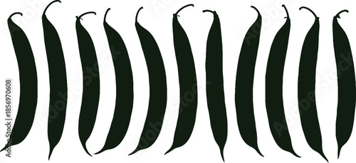 Black bean pods in a row on a white background