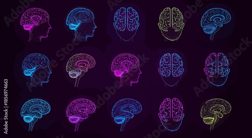 Colorful illustrations of human brain.