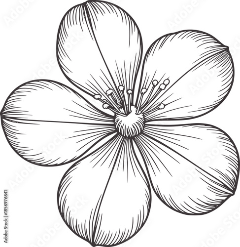 Five petal flower line with detailed veins and center editable monochrome