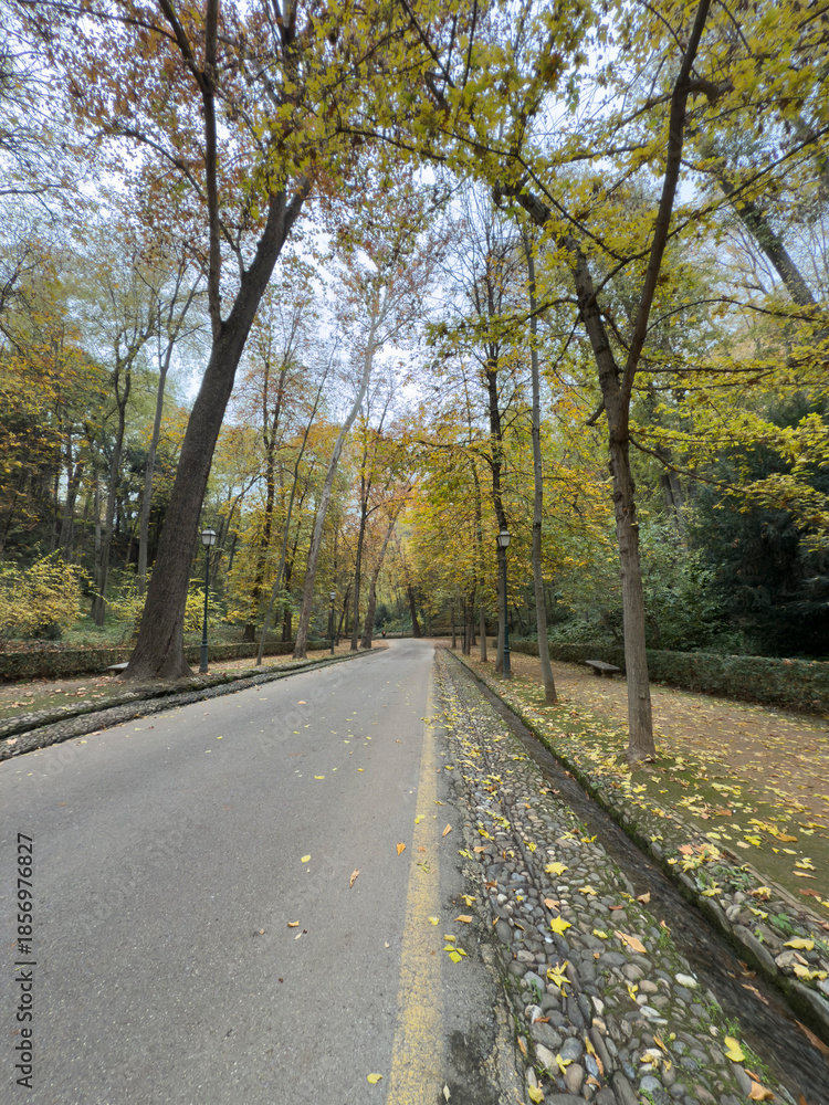 Fototapeta premium Scenic Autumn Road in Granada