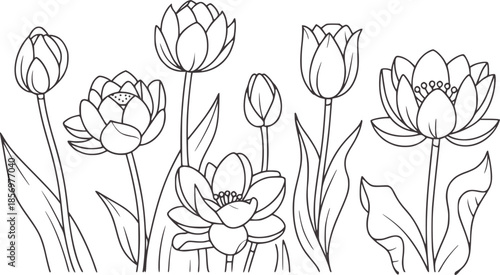 Seven black and lotus and tulip flowers line petals stems