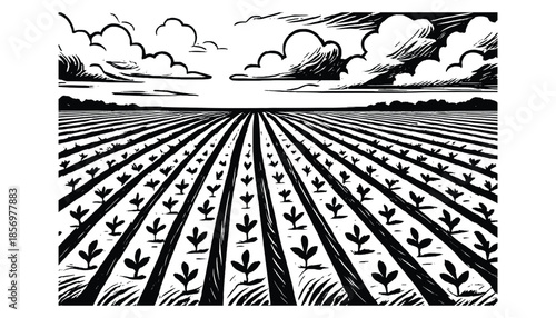 Farm field with plants barn tractor and clouds agriculture landscape background scene