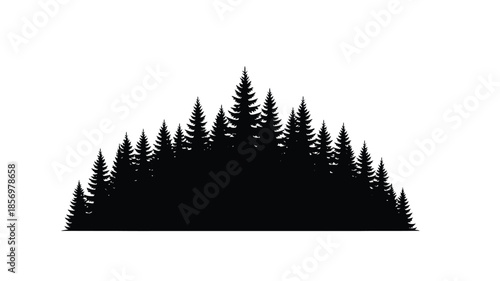 Dense forest of evergreen trees against a plain white background silhouette