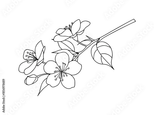 Simple Flower Branch Design