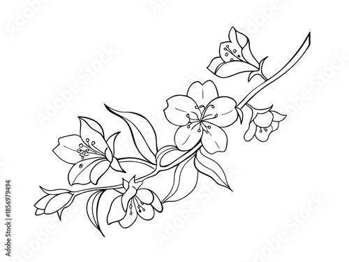 Simple Flower Branch Design