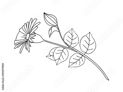 Simple Flower Temple Design