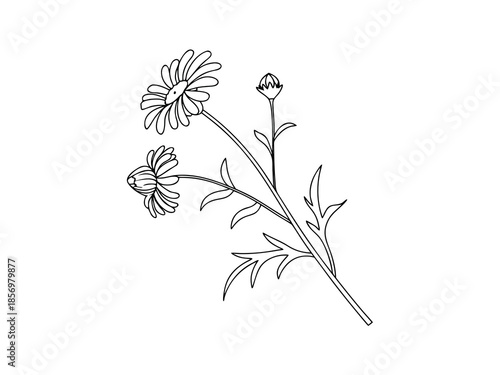 Simple Temple Flower Design