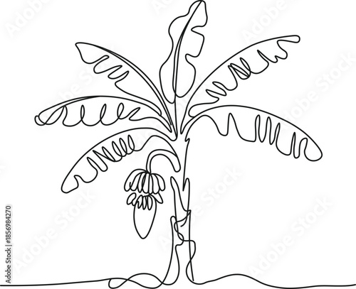 Continuous line drawing of a tropical banana plant with leaves and fruit