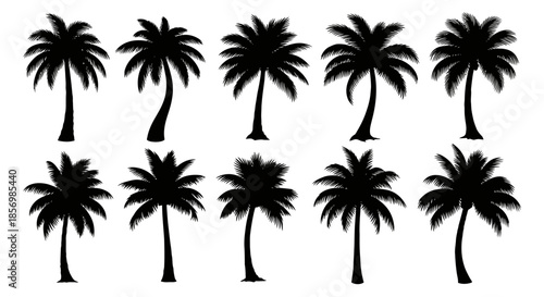 Collection of various palm tree silhouettes.